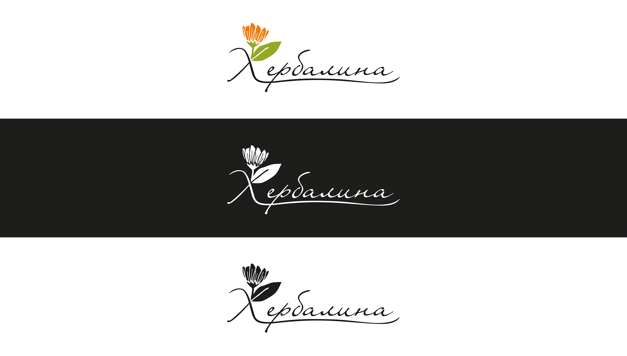 01-Herbalina_logos